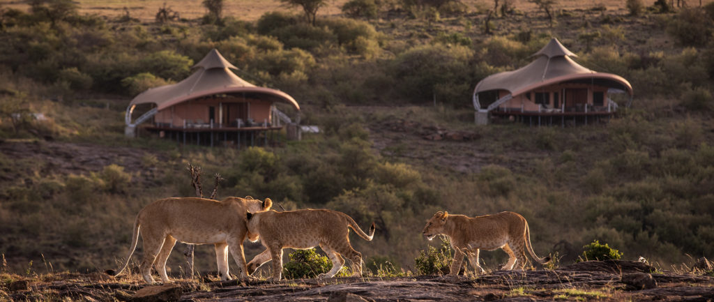 Mahali-Mzuri-Resort-Dreams-of-Luxury