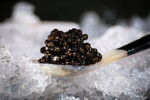 Caviar-Nacarii- Val-daran- Dreasm-of-Luxury