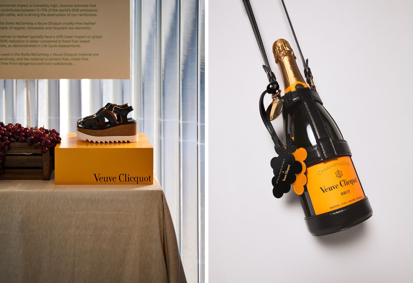 Stella-McCartney-x-Veure-Clicquot-Dreams-of-Luxury