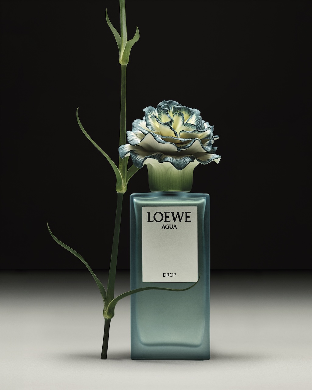 Agua-Drop-Loewe-Lladro-Dreams-of-Luxury