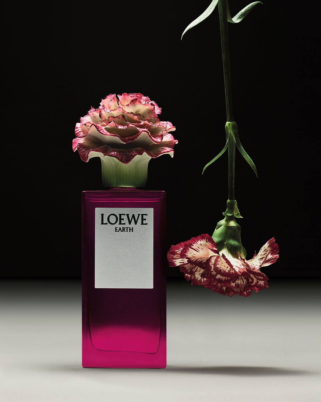 Loewe-x-Laadro-perfume-Earth-Dreams-of-Luxury